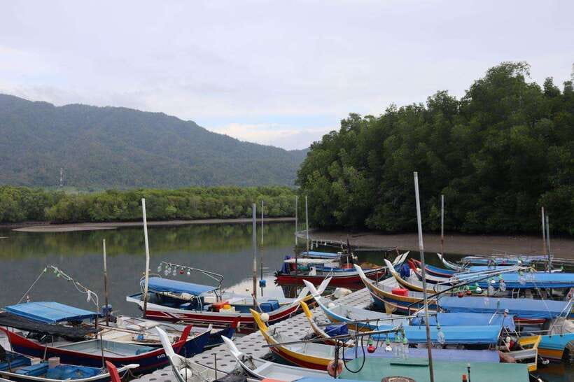 Langkawi: Kayaking Adventure and Swimming - Paddling through the Kubang Badak mangroves