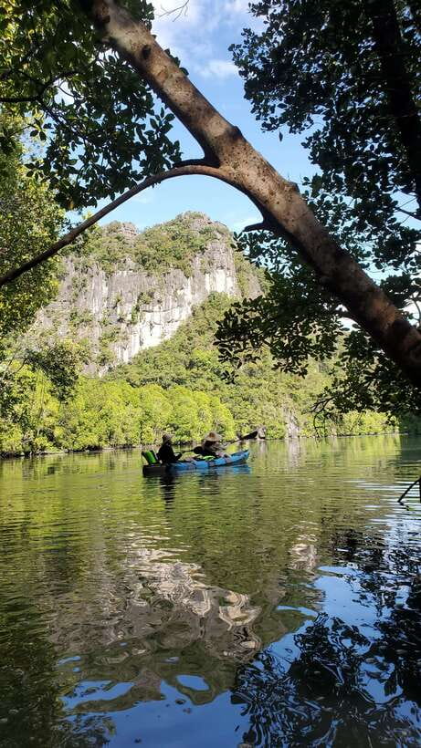 Langkawi : Kilim Geoforest Mangrove Kayak Tour with Lunch - Why a kayak is better than a speedboat here
