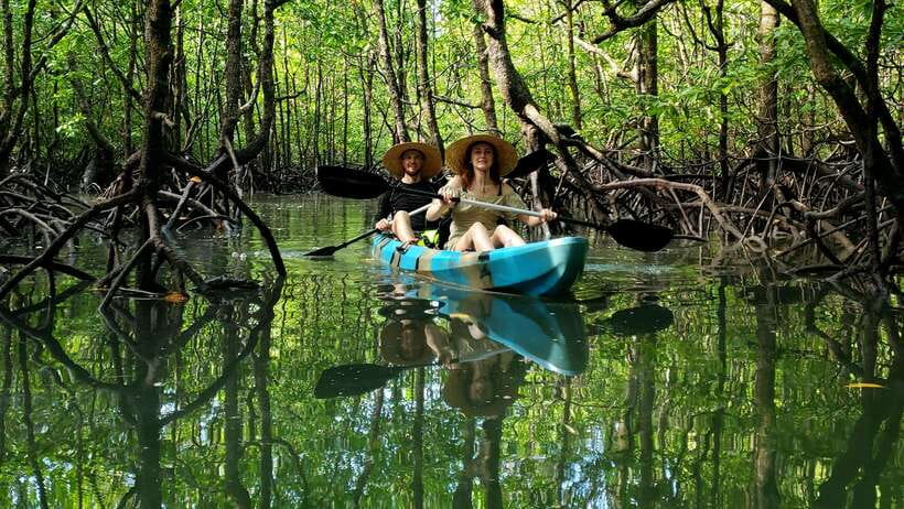 Langkawi : Kilim Geoforest Mangrove Kayak Tour with Lunch - Starting at Kilim Geoforest Park