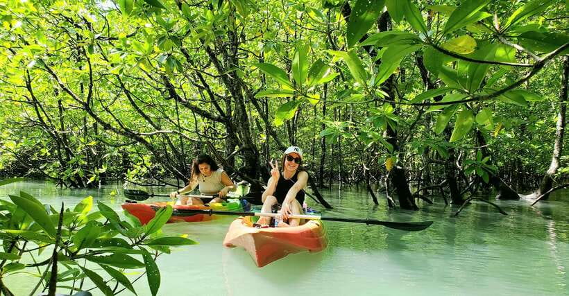 Langkawi : Kilim Geoforest Mangrove Kayak Tour with Lunch - Wildlife spotting from monkeys to snakes