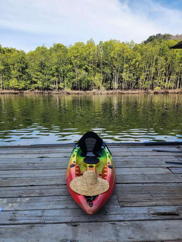 Langkawi : Kilim Geoforest Mangrove Kayak Tour with Lunch - What the $59 price gets you
