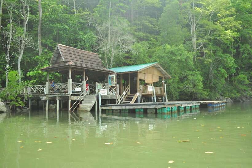 Langkawi: Kilim Mangrove Boat Tour with Lunch and Pickup - How much value do you get for $47?
