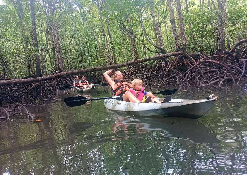 Langkawi: Kilim River Mangrove Safari Kayaking Tour - The guides are a major part of the experience