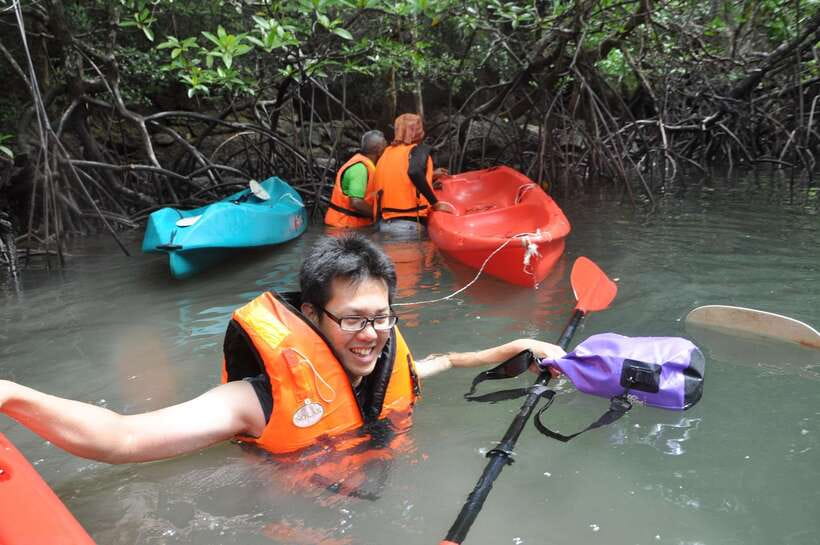 Langkawi: Kilim River Mangrove Safari Kayaking Tour - Who will enjoy this tour most?