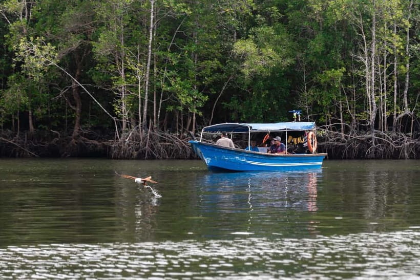 Langkawi Mangrove Group Boat Tour - The shared boat and the real cost of the tour