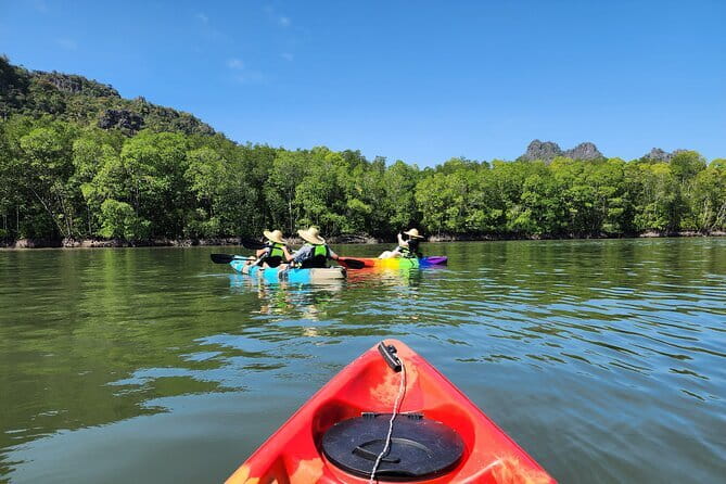 Langkawi Mangrove Kayak Tour by Sham - What the guided kayak section feels like