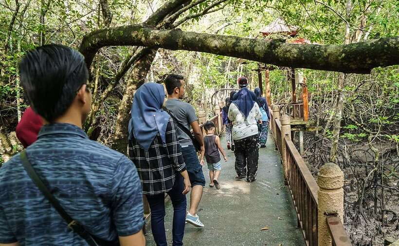 Langkawi: Mangrove Kilim UNESCO Geopark & Cave Tour - Bat caves, dark passages, and small extra charges