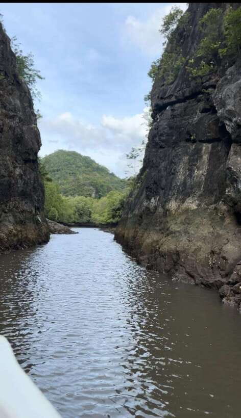 Langkawi Mangrove Monkey Package - Private or non-private?