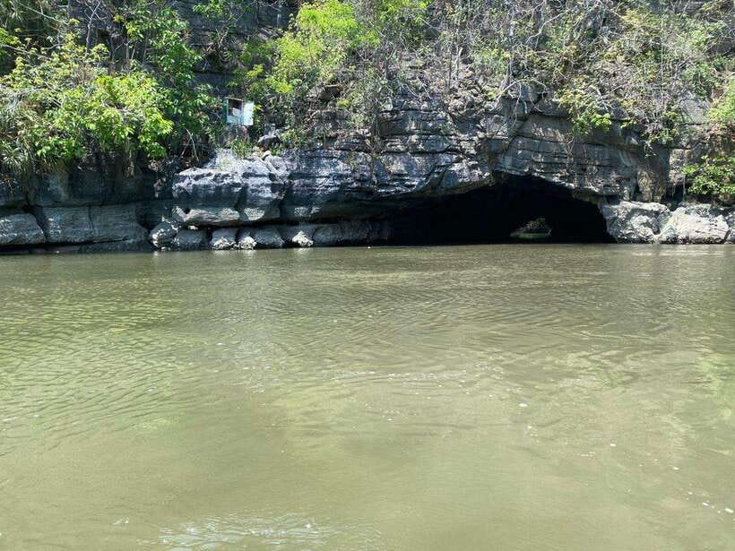 Langkawi Mangrove Monkey Package - Swimming macaques along the Kilim river