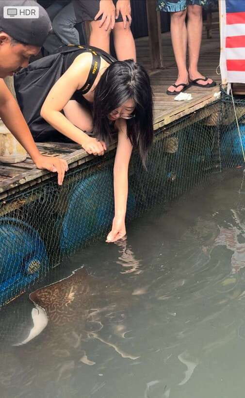 Langkawi Mangrove Monkey Package - Eagles over the Andaman Sea