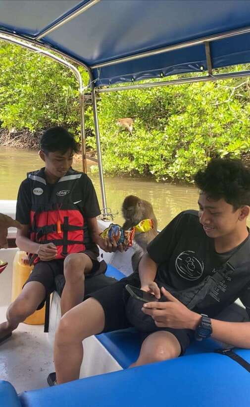 Langkawi Mangrove Monkey Package - Crocodile Cave and the geology of Kilim