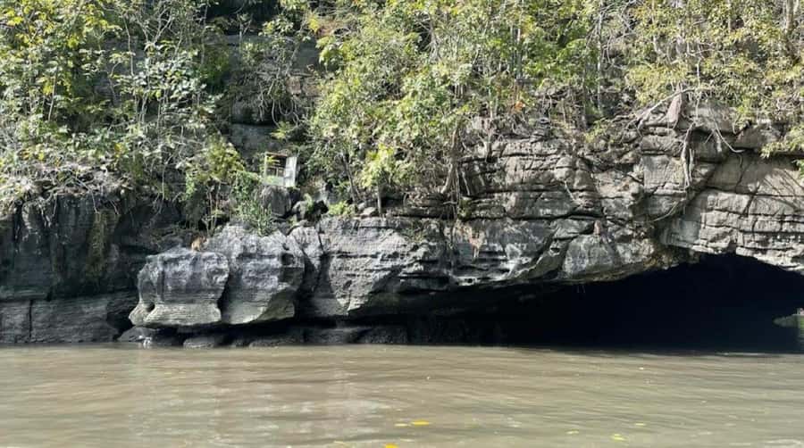 Langkawi Mangrove : Sharing Boat 3Hour estimated (lunch) - Key points to know before booking