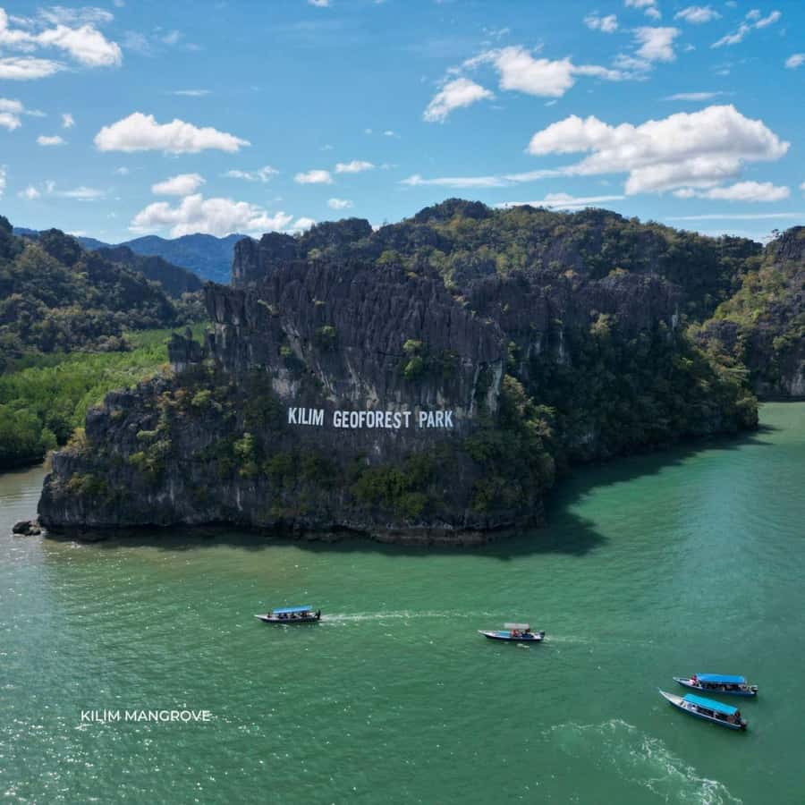 Langkawi Mangrove : Sharing Boat 3Hour estimated (lunch) - Bat Cave and Crocodile Cave