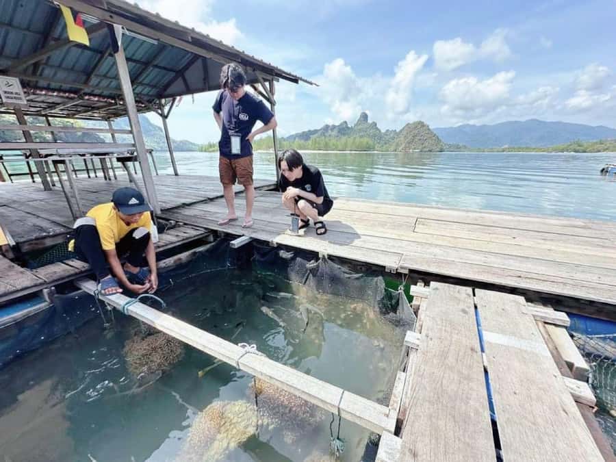 Langkawi Mangrove : Sharing Boat 3Hour estimated (lunch) - Fish feeding and the floating restaurant