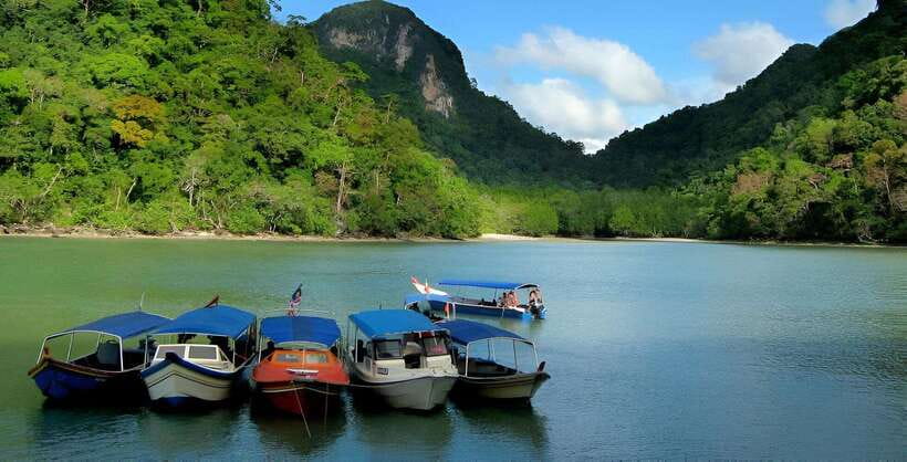 Langkawi: Mangrove Tour with Kilim Geoforest Park & Bat Cave - Why the Kilim mangroves make a good half-day outing