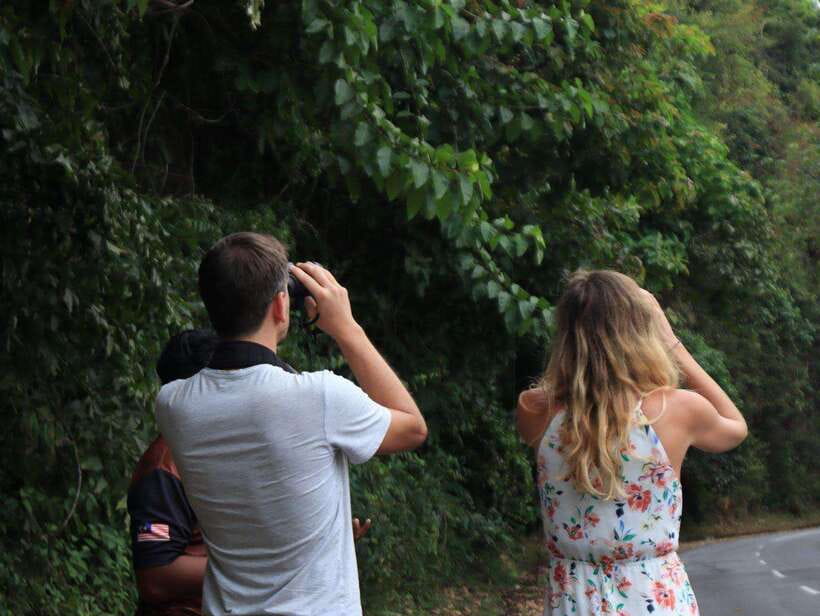 Langkawi: Nighttime Rainforest Tour with Nature Guide - Key points to know before booking