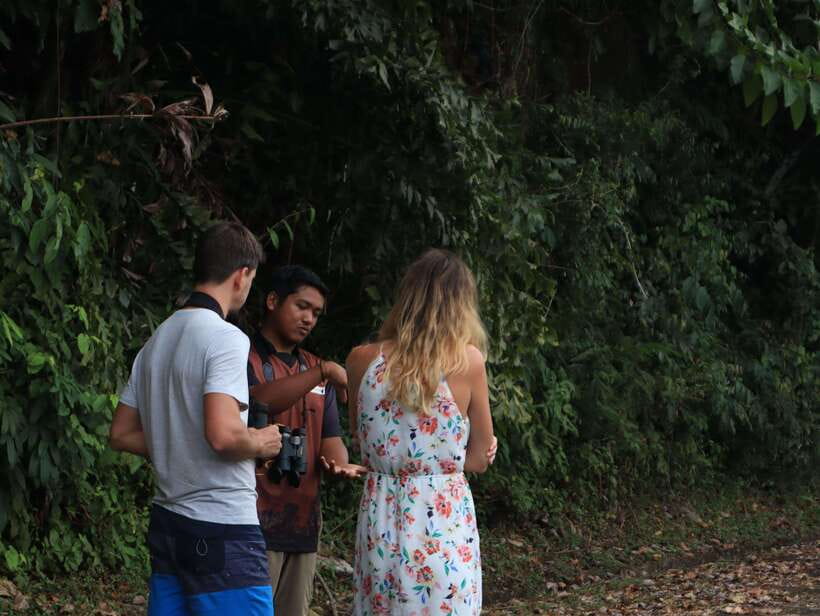 Langkawi: Nighttime Rainforest Tour with Nature Guide - Lubuk Semilang after dark