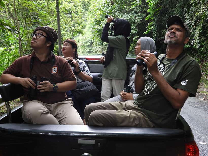 Langkawi: Nighttime Rainforest Tour with Nature Guide - Why the four-person limit matters