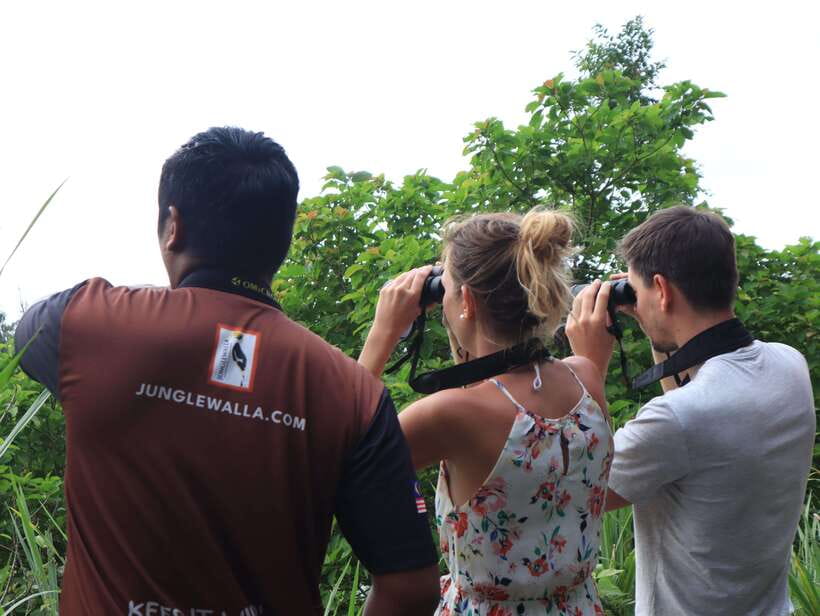 Langkawi: Nighttime Rainforest Tour with Nature Guide - What the $37 price covers