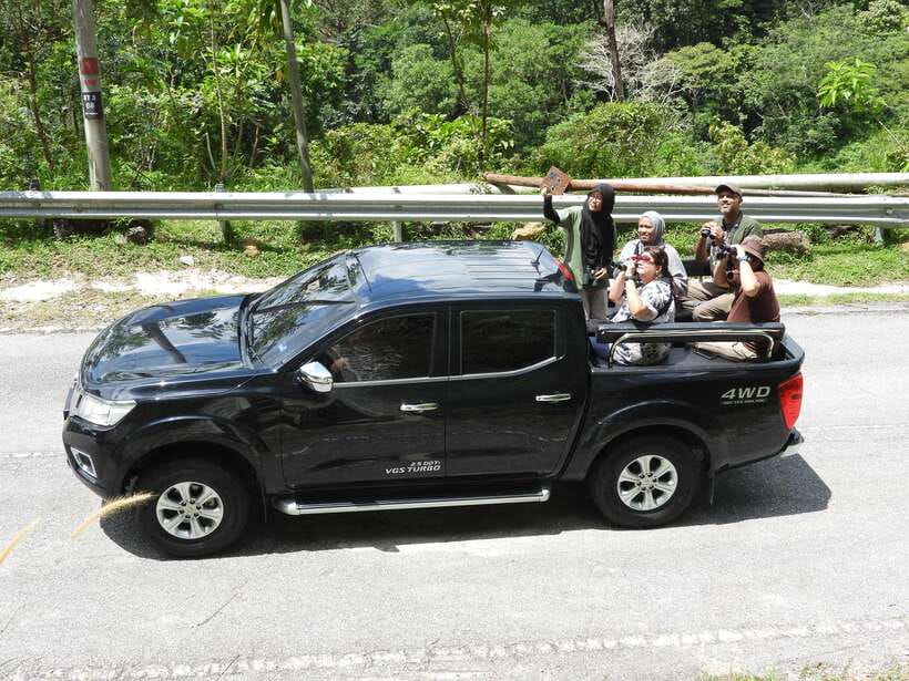 Langkawi: Nighttime Rainforest Tour with Nature Guide - Should you book the Gunung Raya night tour?