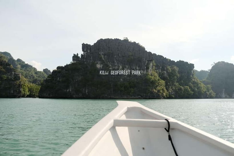 Langkawi: Private 2-Hour Mangrove Tour with Hotel Transfer - Eagles, monkeys, and the luck of the tide
