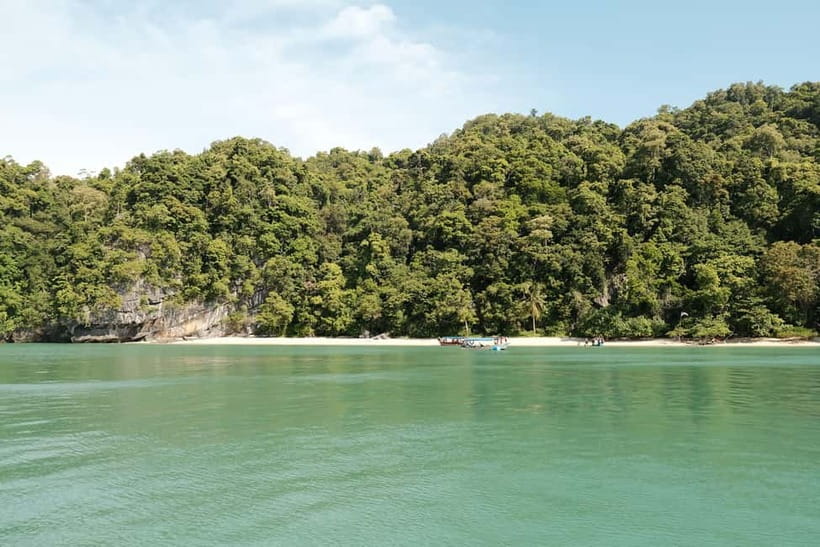 Langkawi: Private 2-Hour Mangrove Tour with Hotel Transfer - Bat Cave and the optional RM2 visit