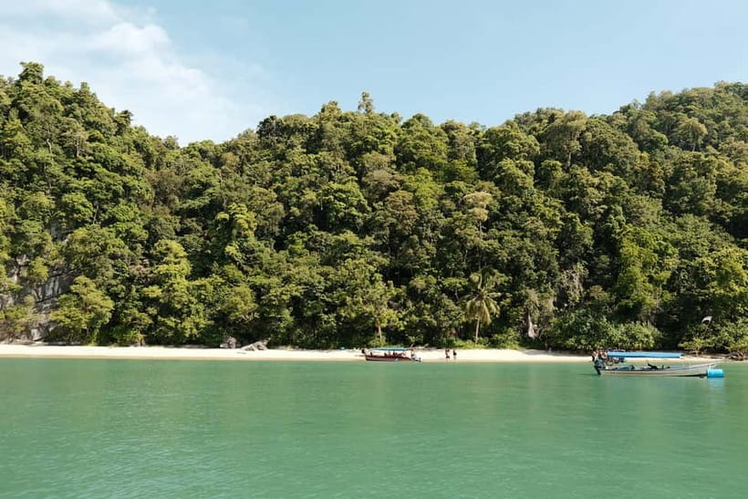 Langkawi: Private 2-Hour Mangrove Tour with Hotel Transfer - Crocodile Cave and the return journey