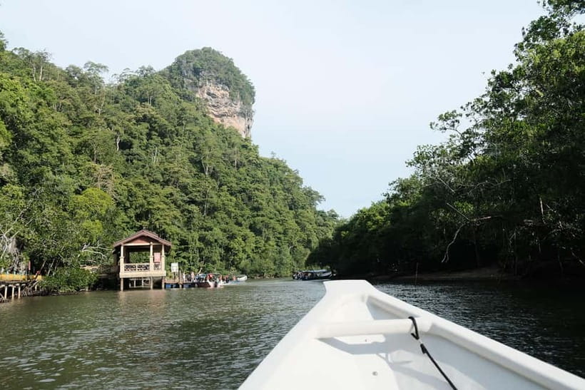 Langkawi: Private 2-Hour Mangrove Tour with Hotel Transfer - Who will enjoy this Langkawi mangrove tour