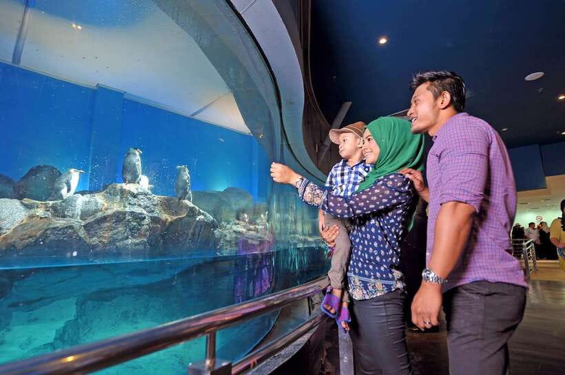 Langkawi: Private Tour with Sky Bridge and Cable Car - Should you book it?