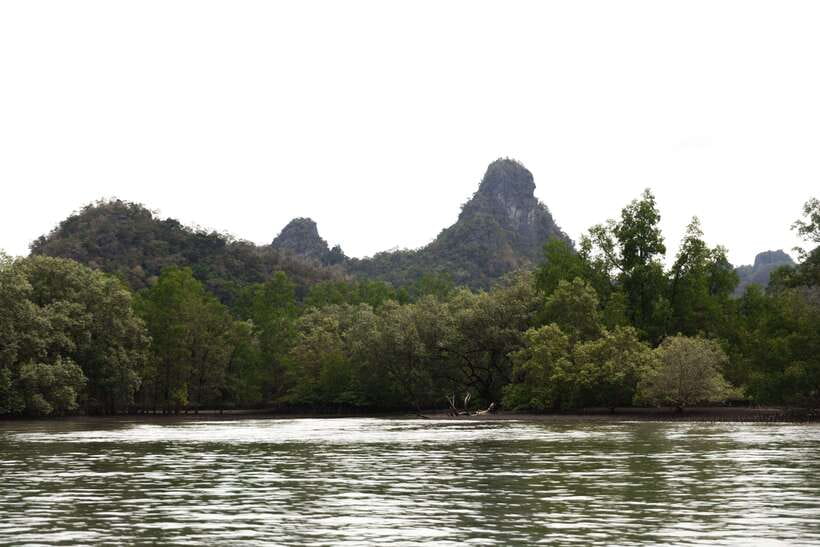 Langkawi Royal Mangrove Tour with Snorkeling Package - What the $119 private price really buys
