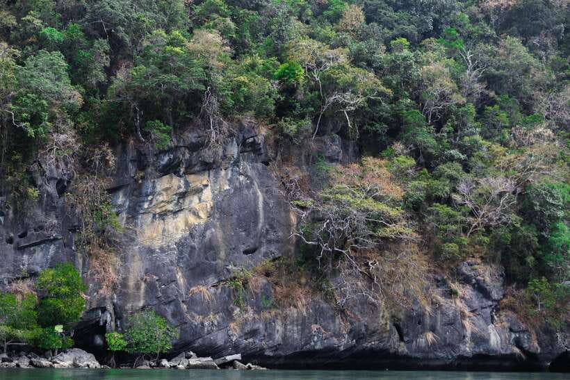 Langkawi Royal Mangrove Tour with Snorkeling Package - Simple preparation for a smoother trip