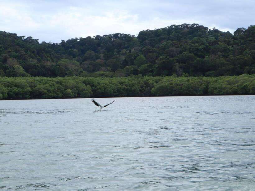Langkawi: Southern Island Geopark Tour - What to pack for three hours on the water