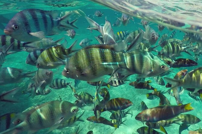 Langkawi Tour A - Land Tour & Pulau Dangli Snorkeling - Langkawi SkyCab and Sky Bridge