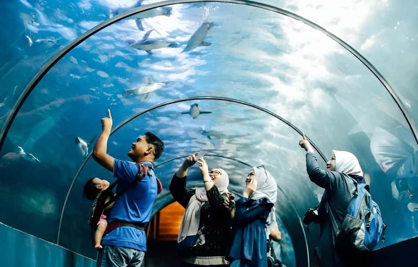 Langkawi: Underwater World Langkawi Entry Ticket - The Rainforest Zone brings a change of rhythm