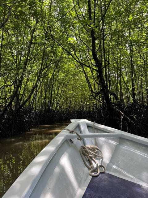 Langkawi: UNESCO Global Geopark Mangrove Cruise - The 30-minute stop for photos and walking