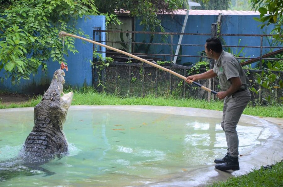 Langkawi: Wildlife Park Admission Ticket - Key Points