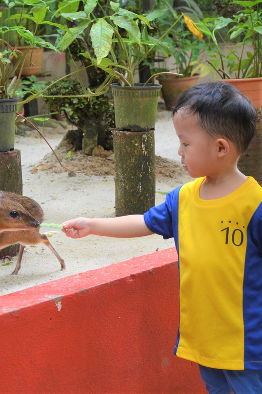 Langkawi: Wildlife Park Admission Ticket - Who Will Enjoy Langkawi Wildlife Park Most?