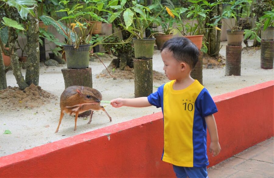 Langkawi: Wildlife Park Admission Ticket - Animal Care and the Overall Feel of the Park