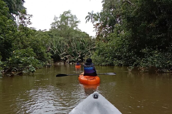 Lebam River Kayaking Adventure - The safety boat and return to Kuala Sungai Lebam