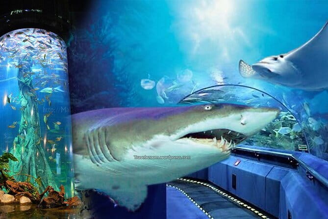 Malaysia: Aquaria KLCC Admission E-Ticket - How Much Time Should You Allow?