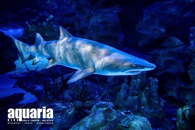Malaysia: Aquaria KLCC Entry Ticket - Mobile ticket details that matter