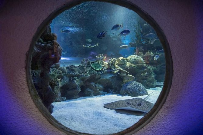 Malaysia: Aquaria KLCC Entry Ticket - Planning a two-hour visit