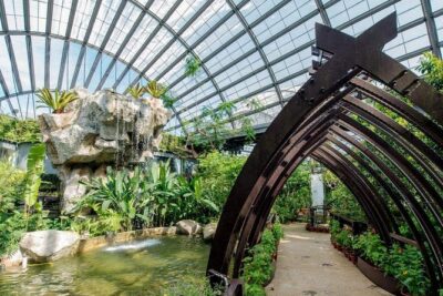 Discover Nature’s Wonders with Entopia Entry Ticket