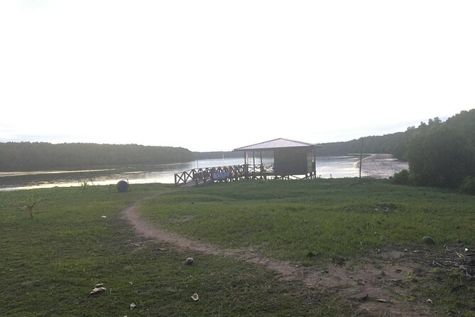 Mangrove Cruise with Fireflies Tour Including Dinner from Sandakan - The boat ride toward Pamaguan Island