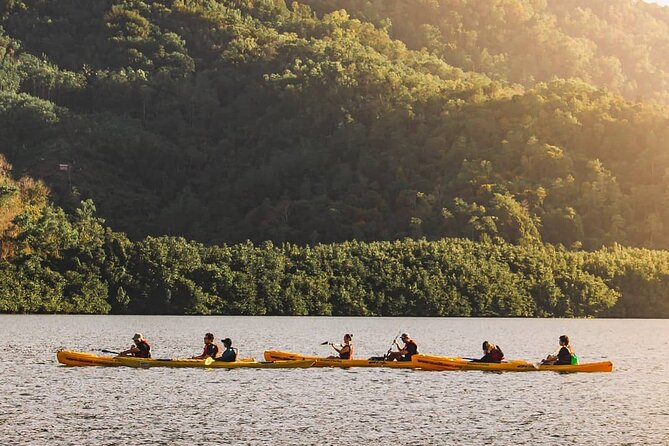 Mangrove Kayaking Experience in Borneo - Is $29 good value for a four-hour morning?