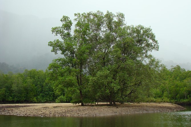Mangrove River Cruise and Snorkeling Tour from Langkawi - Why this private Langkawi cruise feels different