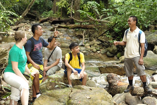 Morning Rainforest Walking from Langkawi - Key points to know before booking