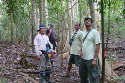 Morning Rainforest Walking from Langkawi