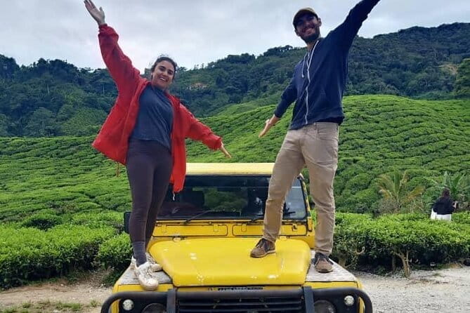 Mossy Forest in Brinchang Tour - BOH Tea Plantation after the forest