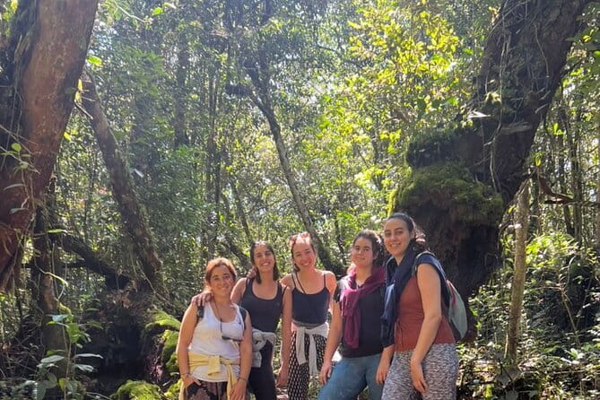 Mossy Forest in Brinchang Tour - Walking into the Mossy Forest
